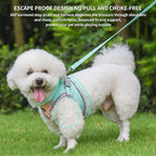 AIITLE XXS Dog Harness & Leash Set - Breathable Reflective No-Choke Small Dog Harness for Teacup Puppies, Indoor/Outdoor Use - Boston Terrier, Maltese, Chihuahua (Turquoise-Pink, XXS)