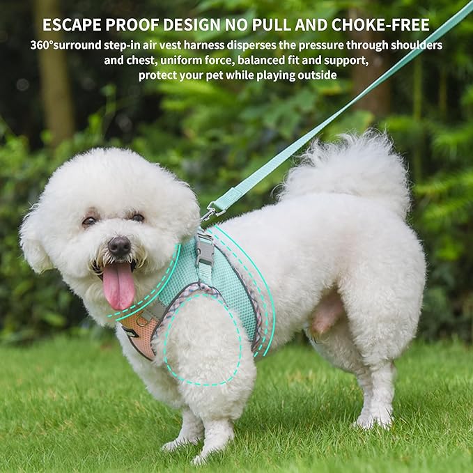 AIITLE Small Dog Harness - Breathable Double-Layer Jacquard No-Choke Vest, Durable Anti-Tear Fabric with Reflective Trim - Perfect for Running, Parties, Daily Walks (Turquoise-Pink, XS)