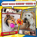 Zeaxuie 12 Pack Heavy Duty Various Dog Chew Toys Pack for Aggressive Chewers - Includes Large Rope Toy, Squeaky Toys & Indestructible Chew Bone for Medium, Large & X-Large Breeds Dogs