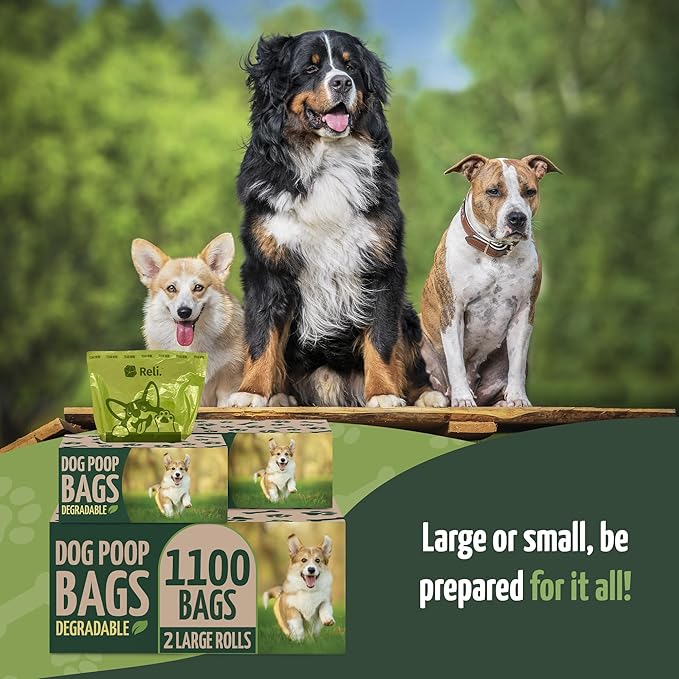 Reli. Biodegradable Dog Poop Bags (1100 Pack, 2 Large Rolls) | 9"x13" Large Poop Bags for Dogs | Unscented, Leak Proof Oxobiodegradable Pet Waste Clean Up | Green Eco-Friendly | Dispenser Box