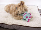goDog Dinos Frills Squeaky Plush Dog Toy with Chew Guard Technology, Durable Fabric & Squeaker for Active Play, Teal, Small