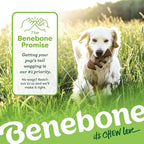 Benebone Small 4-Pack Dog Chew Toys for Aggressive Chewers, Made in USA, 30lbs and Under