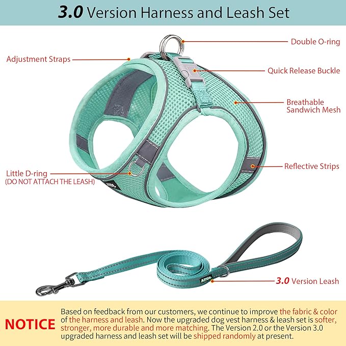 AIITLE Easy Walk Dog Harness and Leash Set - Pet Supply No Pull, Step in Adjustable Pet Harnesses with Padded Vest for Summer, No Choke Over, Easy to Put on Medium Dogs Pure Turquoise L