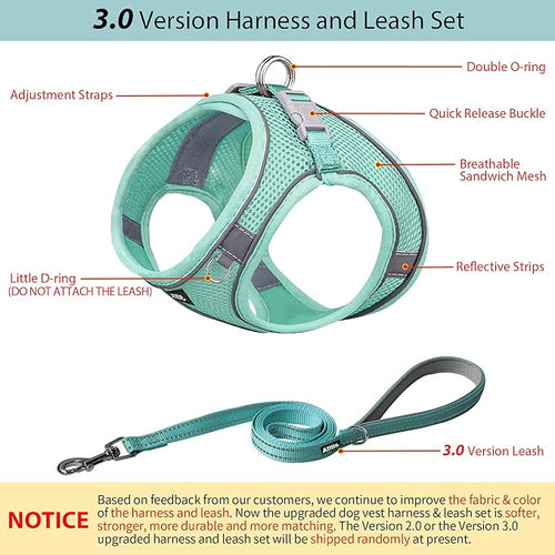 AIITLE Easy Walk Dog Harness and Leash Set - Pet Supply No Pull, Step in Adjustable Pet Harnesses with Padded Vest for Summer, No Choke Over, Easy to Put on Medium Dogs Pure Turquoise L