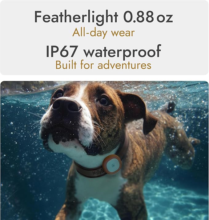 Molly&Cody GPS + Bluetooth Pet Tracker for Cats & Dogs – Real‑Time Tracking, Virtual Fence, IP67 Waterproof, Up to 60‑Day Battery, Health Monitoring, iOS/Android – 3‑Month Subscription Included(White)