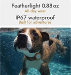 Molly&Cody GPS + Bluetooth Pet Tracker for Cats & Dogs – Real‑Time Tracking, Virtual Fence, IP67 Waterproof, Up to 60‑Day Battery, Health Monitoring, iOS/Android – 3‑Month Subscription Included(White)
