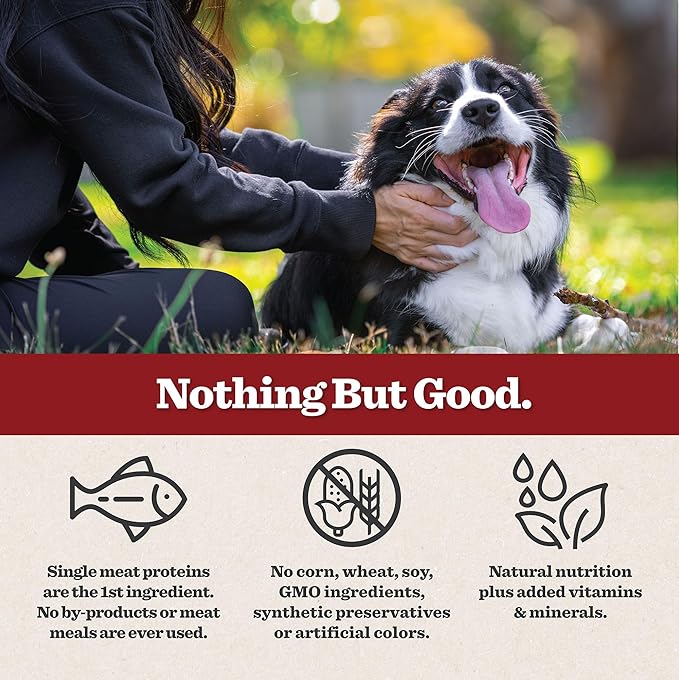 Dr. Pol Grain Free Salmon Dog Food - Premium Natural Dry Dog Food, Limited Ingredient High Protein Veterinarian Formulated Kibble for Any Size or Stage, Allergies, Sensitive Stomach, Salmon 4lb Bag