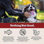 Dr. Pol Grain Free Salmon Dog Food - Premium Natural Dry Dog Food, Limited Ingredient High Protein Veterinarian Formulated Kibble for Any Size or Stage, Allergies, Sensitive Stomach, Salmon 4lb Bag