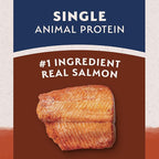 Natural Balance Limited Ingredient Grain Free Salmon & Sweet Potato Dry Dog Food, Sensitive Stomach, 24 lb (Pack of 1)