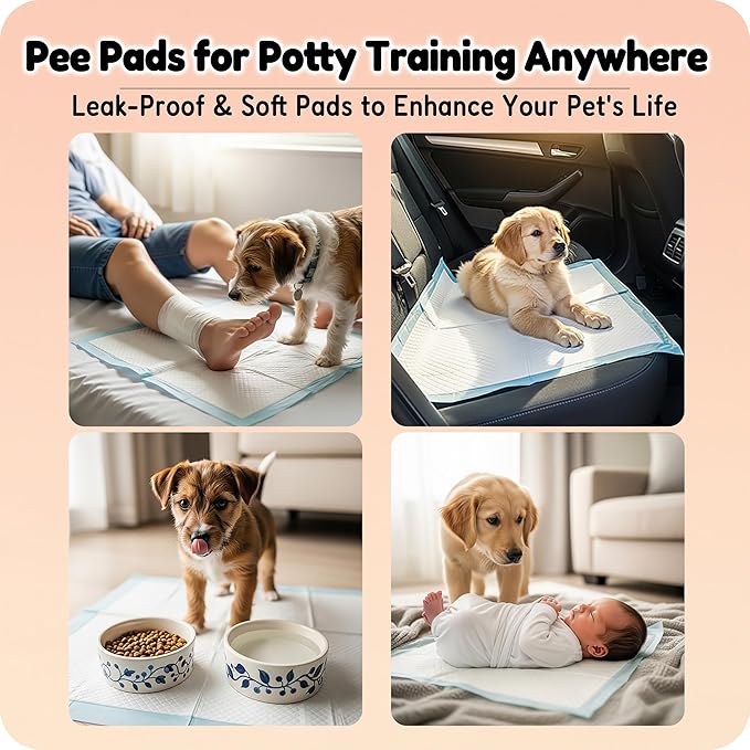 MoMoCo Puppy Pads, 23"x23"-100 Count Dog Pee Pads, Super Absorbent Extra Large Disposable Dogs Training Pads , Leak-Proof, Quick-Drying Dogs Potty Pads for Doggies Puppies