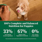 Nutro Natural Choice Lamb & Brown Rice Puppy Food Dry Recipe, 4.5 lb. Bag