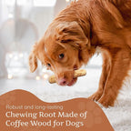 Wildfang® Coffee Wood Dog Chew, Medium - Tough Chew Toys for Aggressive Chewers, Dog Teething Toys for Puppies, Training for Chewing Muscles, Coffee Tree Sticks for Medium Dogs (33-55 lbs), Pack of 3