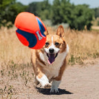 Chuckit! Fumble Fetch Dog Football - Outdoor and Indoor Interactive Dog Toy with Grooved Design for Easy Pickup - Made from Durable Rubber - Floats in Water - Small - Orange and Blue