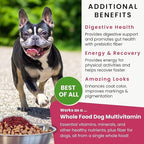 Olewo Original Red Beets for Dogs – Natural Skin & Coat Dog Food Topper, Anti Itch, Dehydrated Vegetables, Whole Food Supplements & Vitamins, Fiber for Dogs, 5.5 lbs