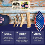 Devil Dog Pet Co. Elk Antlers for Dogs, Medium 5"+, 1 Pack, Grade A Long Lasting Chew for Aggressive Chewers, Premium USA Naturally Shed Antler – Healthy, No Odor, Durable Dog Chew