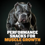 Bully Max Premium High Protein Dog Treats for Puppy & Adult Dogs - Training Dog Food Treats with 40% Protein, Real Meat, Veggies & BCAAs for Small, Medium & Large Breeds - Chicken Flavor (2 Pack)