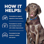 Hill's Prescription Diet d/d Food Sensitivities Potato & Venison Formula Dry Dog Food, Veterinary Diet, 8 lb. Bag