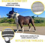 ADITYNA Heavy Duty Dog Collar for Extra-Large Dogs - Reflective Gray Collar with Handle for Training, and Walking - Wide, Thick, Tactical, Soft Neoprene Padded