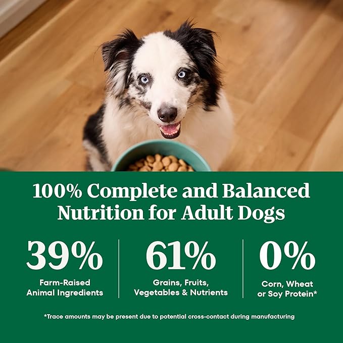 Nutro Natural Choice Lamb & Brown Rice Adult Dry Dog Food Recipe, 30 lb. Bag