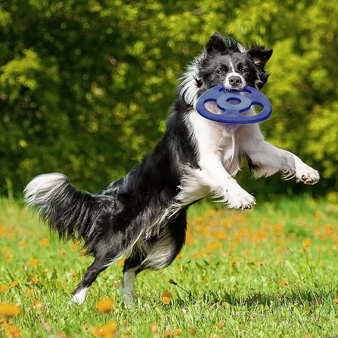 SuperChewy Tough Tug-of-War Flying Disc Toy | Lifetime Replacement | Strong Natural Rubber | Great Tug Disc Fetch Toy for Dogs | Ultra Durable Chew Toys for Aggressive Chewers | for All Breeds