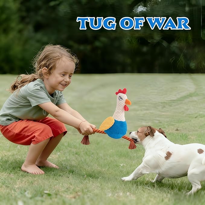 Plush Chicken Dog Toy with Squeaker, Interactive Rope Legs, Colorful Textured Rooster Chew Toy for Small, Medium Dogs, Tug-of-War, Fetch