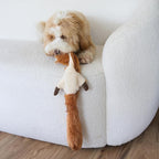SPOT Skinneeez Squirrel 23-Inch Stuffing-Free Plush Dog Toy – Realistic Design with 2 Squeakers – Durable, Soft Polyester for Medium & Large Dogs – Tug, Fetch & Shake Play – for Moderate Chewers