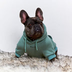 Tuff Pupper Dog Hoodie | Premium Quality 100% Organic Cotton | Ultra Soft Interior for Superior Comfort | Elastic Cuffs & Drawstring for Warmth | Stretch Fit Suitable for All Breeds (Teal, S)