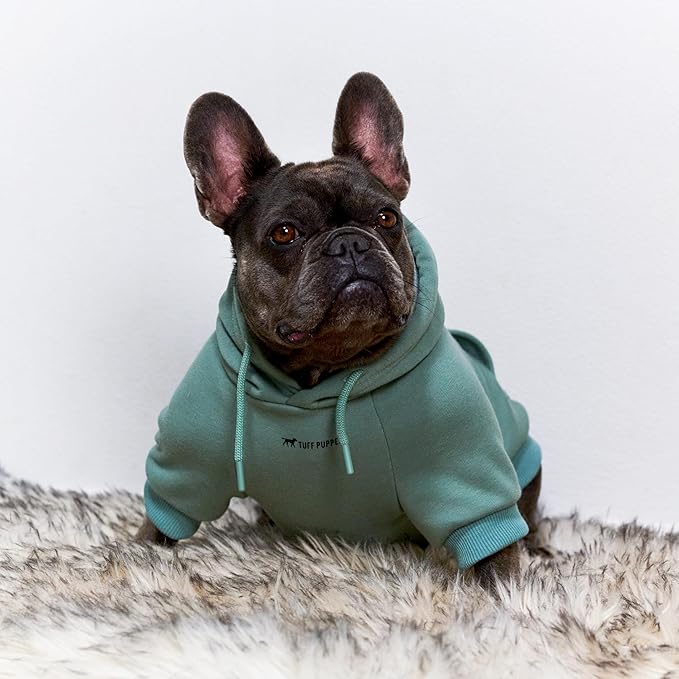 Tuff Pupper Dog Hoodie | Premium Quality 100% Organic Cotton | Ultra Soft Interior for Superior Comfort | Elastic Cuffs & Drawstring for Warmth | Stretch Fit Suitable for All Breeds (Teal, S)