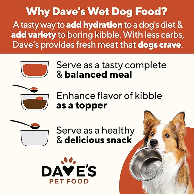 Dave's Pet Food Stewlicious Grain Free Wet Dog Food (Beef & Vegetable in Gravy), Made in USA Naturally Healthy Canned Gluten Free Dog Topper, 13.2 oz (12 Pack)