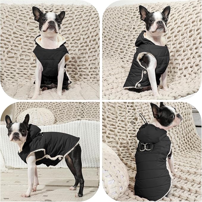 Fleece Lining Dog Hoodie with Harness Built in,Extra Warm Small Dog Jacket in Winter Puppy Coats with Drawstring Hooded,Black M