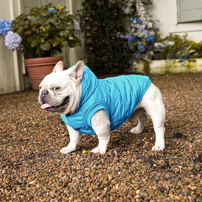 Fleece Lining Extra Warm Dog Hoodie in Winter for Large Dogs Jacket Pet Coats with Hooded,Light Blue XXL