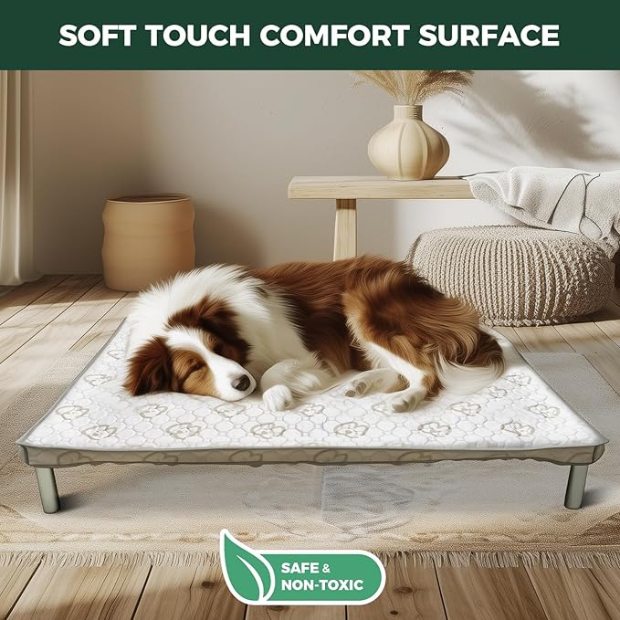 FXW TitanNest Chew-Proof Elevated Dog Bed, Raised Cot for Indoor/Outdoor/Camping Use, Durable & Waterproof Cooling Pet Bed with Exclusive Cover for Toy Dogs, 24.0" L x 20.0" W x 4.1" H, Black