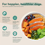 Jinx Premium Dry Dog Food, for All Lifestages - Real Salmon, Brown Rice & Sweet Potato Kibble with Superfoods for Immune Support & Probiotics for Digestive Support - No Fillers - 11.5lb
