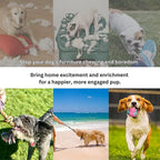 2ME Puppy Rope Toys for Teething and Chewing - Set of 4 Natural Cotton Tug of War Rope for Dogs of All Breeds and Sizes