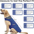 Dog Coat, Waterproof Dog Winter Jacket with Pocket, Reflective Adjustable Pet Snow Vest, Warm Cozy Fleece Sweater for Small Medium Extra Large Dogs - Blue, 2XL