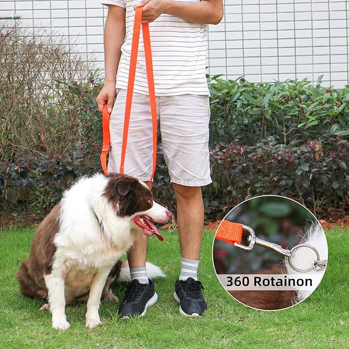 AMAGOOD 6 FT Puppy/Dog Leash, Traditional Style Leash with Easy to Use Collar Hook, Great for Small, Medium and Large Dogs (3/4 in x 6 ft, Orange)