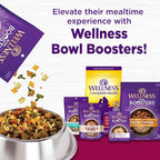 Wellness Complete Health Dry Dog Food, Small Breed, Grain Free, Natural, Turkey, Chicken, & Salmon Recipe (11-Pound Bag)