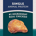 Natural Balance Limited Ingredient Adult Dry Dog Food with Healthy Grains, Chicken & Brown Rice Recipe, 4 Pound (Pack of 1)