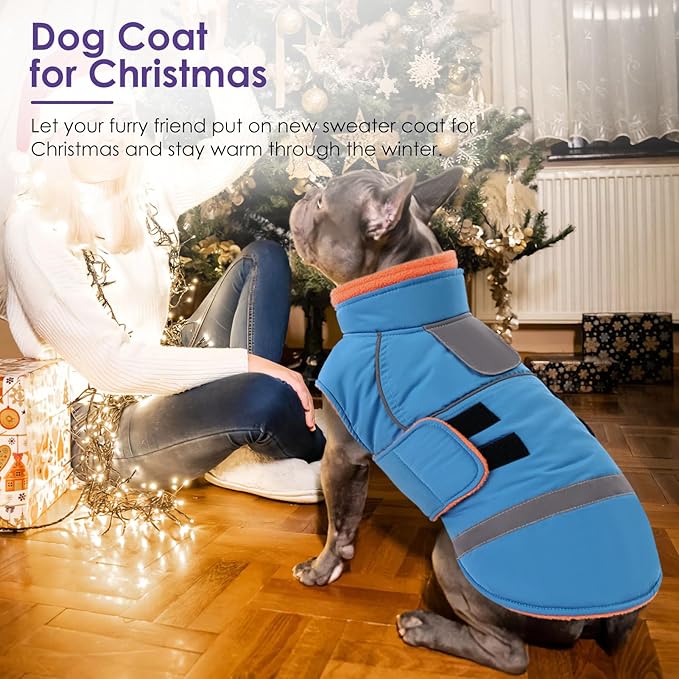 SUNFURA Dog Coat, Warm Dog Jacket for Small Dogs, Reflective Winter Coat with Fleece Lined, Windproof Pet Snowsuit Puppy Sweater Clothes, Turquoise XS