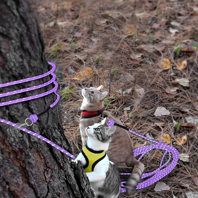 Rypet Reflective Cat Long Leash - 50 FT Escape Proof Walking Leads Yard Long Leash Durable Safe Personalized Extender Leash Traning Play Outdoor for Kitten, Puppy, Rabbit and Small Animals(Purple-L)