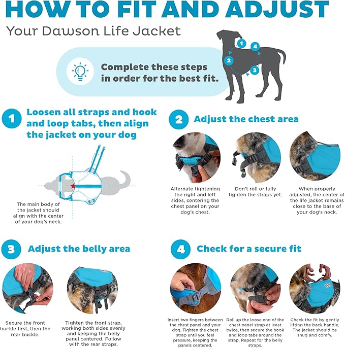 Outward Hound Dawson Swim Dog Life Jacket, High-Performance Neoprene Dog Life Vest for Swimming, Boating, and Water Safety, Small, Blue