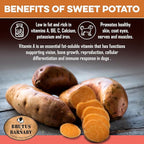Sweet Potato Dog Treats - Grain Free, Salmon & Kelp Crunchy Sticks - Great Tasting, Promotes Positive Dog Gut Health with Natural Anti-Diarrhea Properties, No Preservatives Added (14oz)