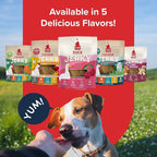 PLATO Pet Treats Jerky Dog Treats - Air-Dried Jerky for Dogs - Delicious, Real Meat Dog Treats - Grain Free - Supports Healthy Digestion - Duck Jerky with Cherry 7oz