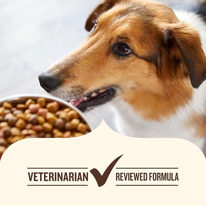 Nutrish Gentle Digestion Premium Paté Wet Dog Food, Real Chicken, Pumpkin & Salmon Recipe, 13 oz. Can, 12 Count (Rachael Ray)