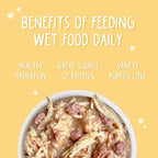 Weruva Puppy, Chicken Formula in Gravy, 6oz Can, Pack of 8
