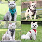 Large Cat Harness and Leash Set for Walking - Escape Proof Adjustable Vest, Reflective Breathable Mesh with 4 Buckles for Big Cats