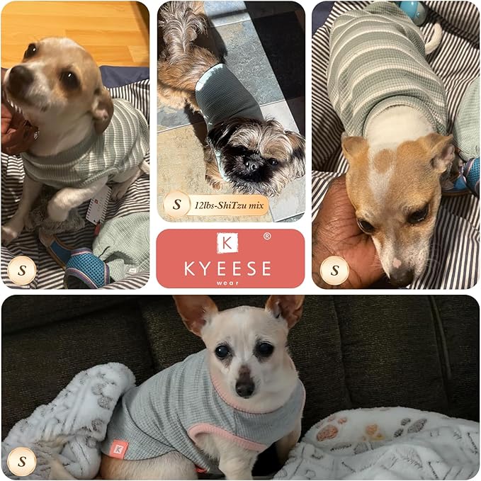 KYEESE 2Pack Waffle Dog Shirts for Small Dogs Stretchy Dog T-Shirts Lightweight Pet Tank Top Sleeveless Striped Pet Shirt Vest Breathable Cat Shirt, Small, Green+Striped