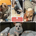 KYEESE 2Pack Dog Shirts Waffle for Small Dogs Stretchy T-Shirts Lightweight Tank Top Sleeveless Vest Breathable Cat Tee, Small, Blue+Grey