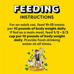 Temptations MixUps Catnip Fever Flavor Crunchy and Soft Cat Treats, 3 oz. Pouch (Pack of 12)