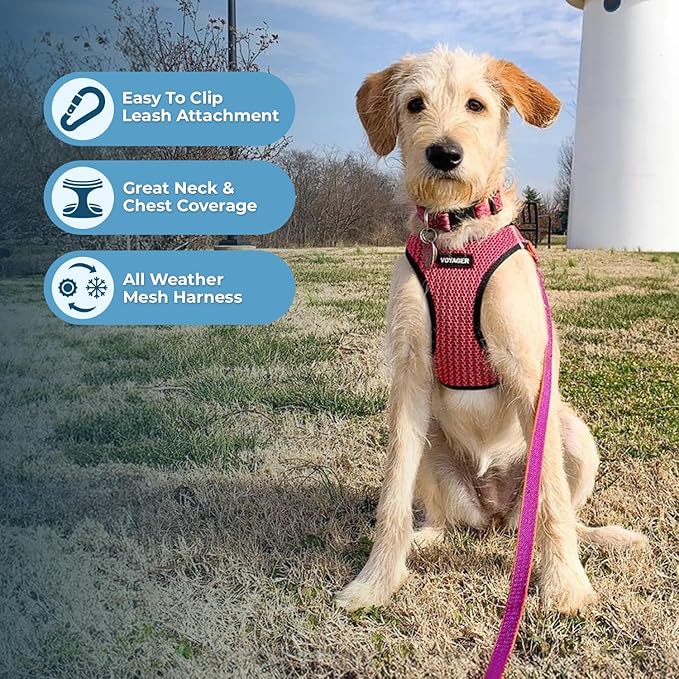 Best Pet Supplies Voyager Step-in Air Harness - All Weather Mesh, Reflective, No Pull Harness for Dogs, Cats - Secure with Hook & Loop Fastener, Buckle, Double D-Rings - Tone, L